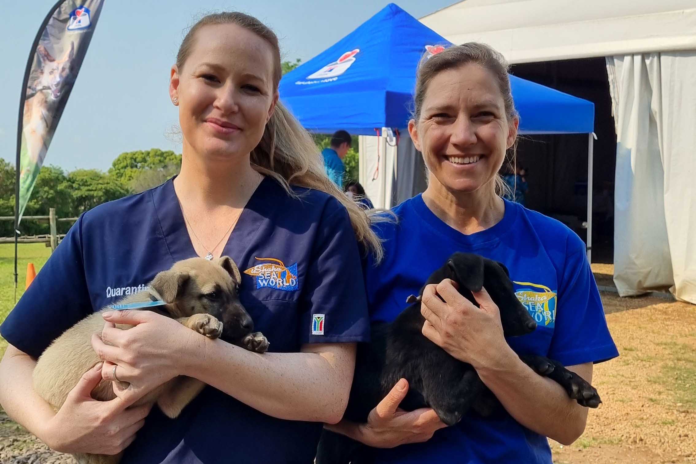 Puppies