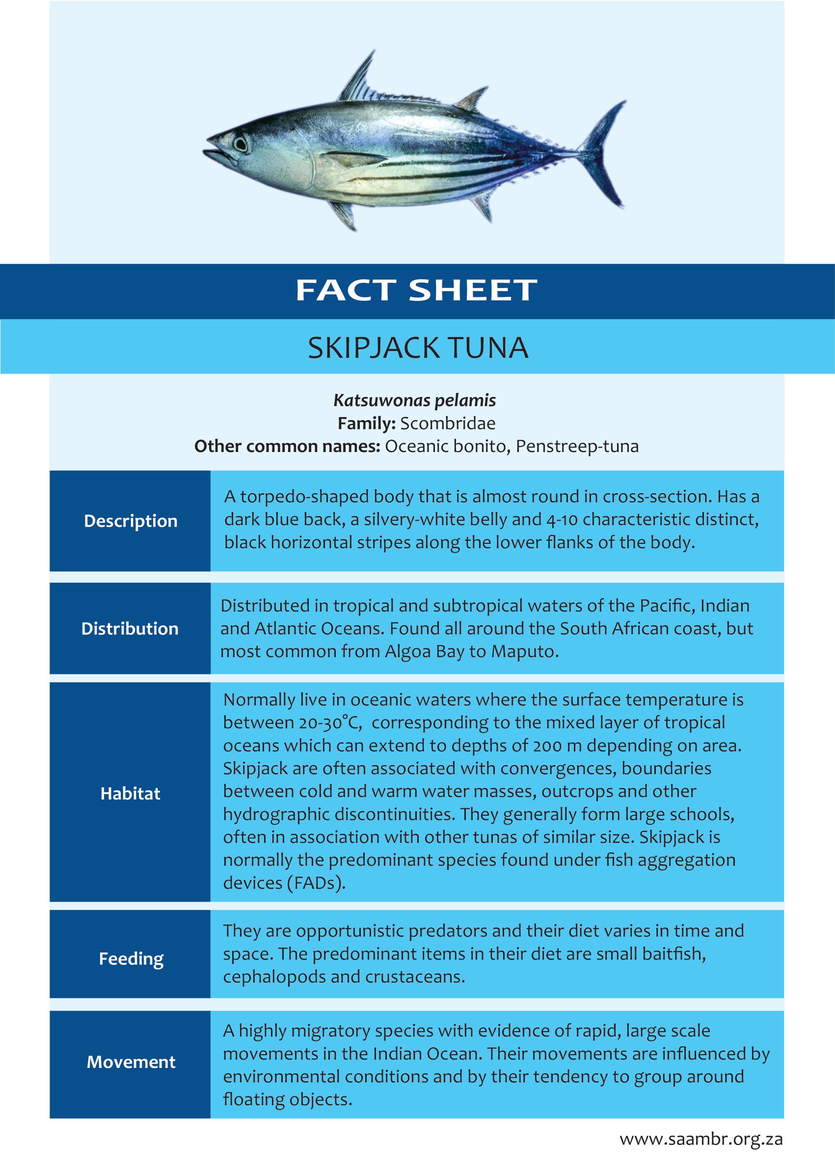 Skipjack Tuna