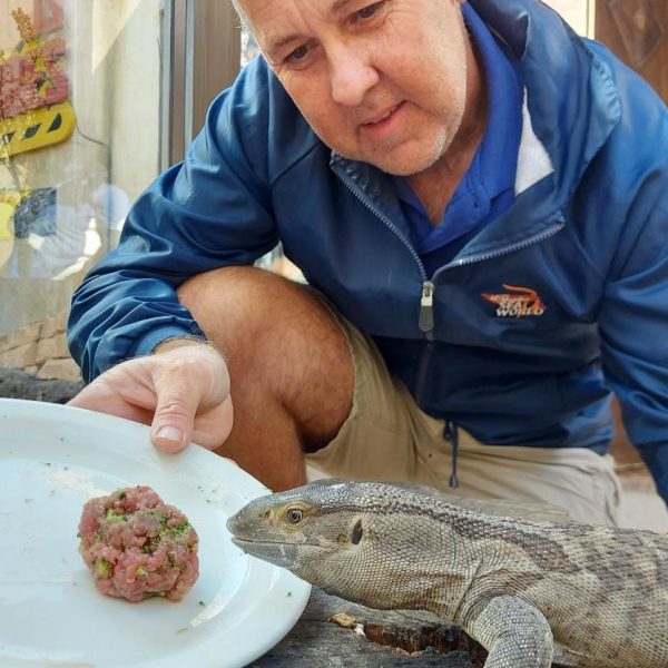 Carl-and-monitor-lizard Carl-and-monitor-lizard